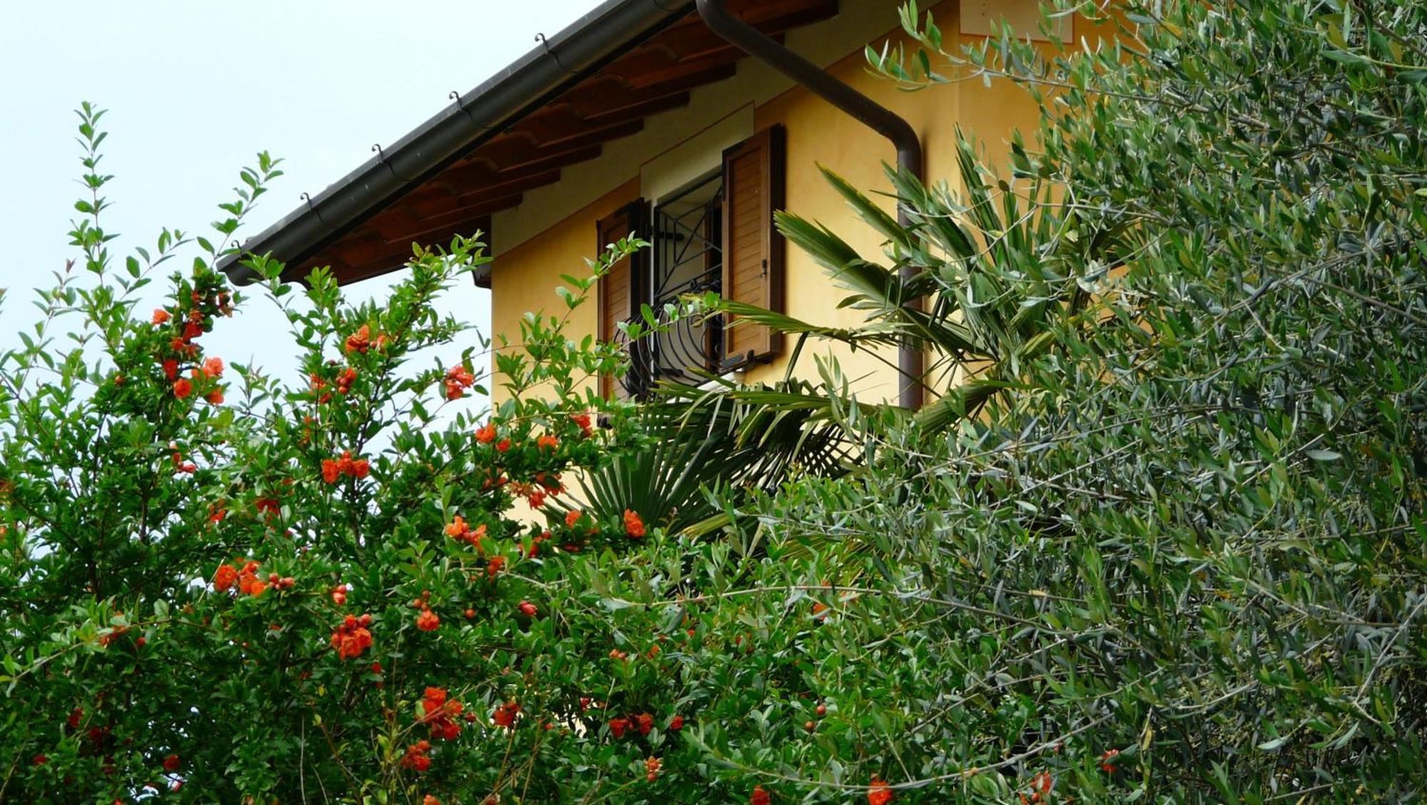 Albergo Le Piante Manerba del Garda Bagian luar foto